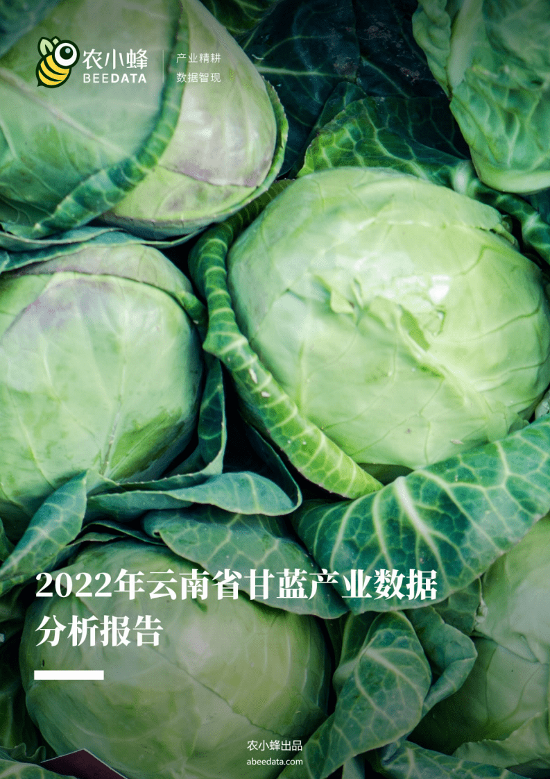农小蜂：2022年云南省甘蓝产业数据分析报告.pdf 第1页