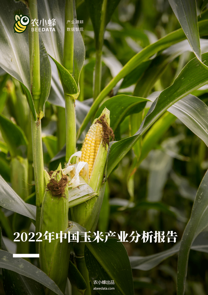 农小蜂：2022年中国玉米产业分析报告.pdf 第1页