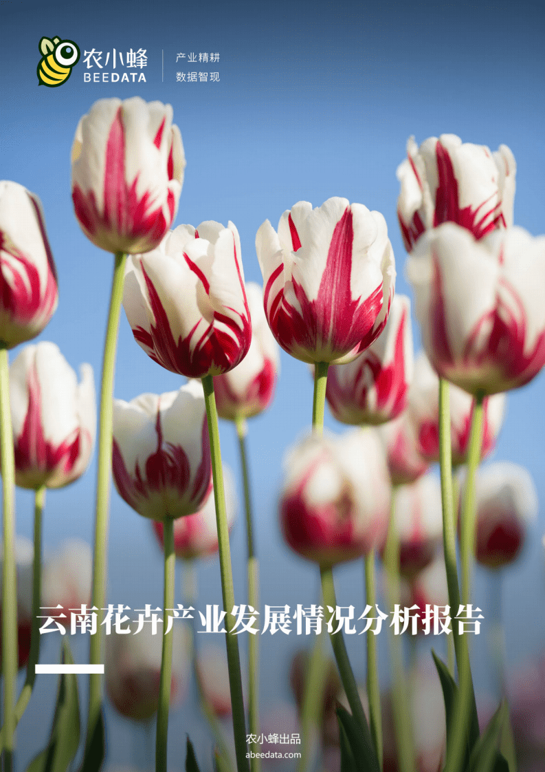 农小蜂：云南花卉产业发展情况分析报告.pdf 第1页