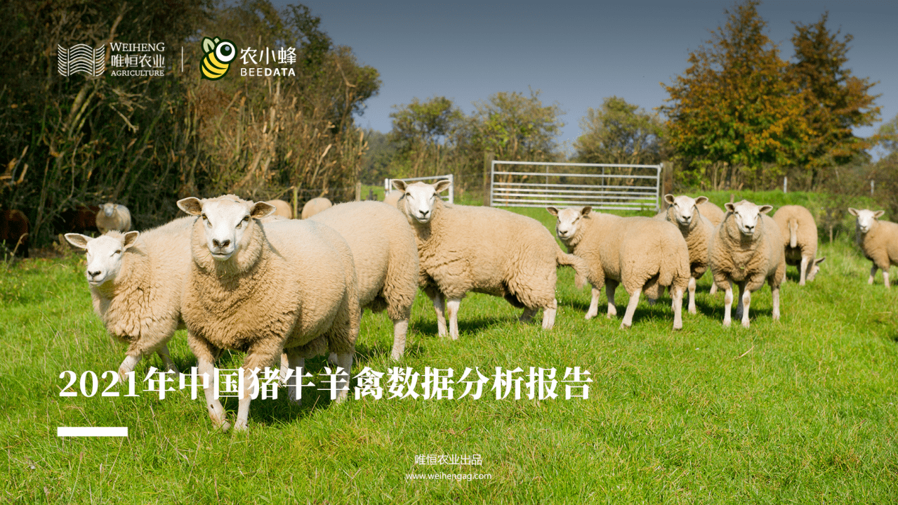 唯恒农业：2021年中国猪牛羊禽数据分析报告.pdf 第1页