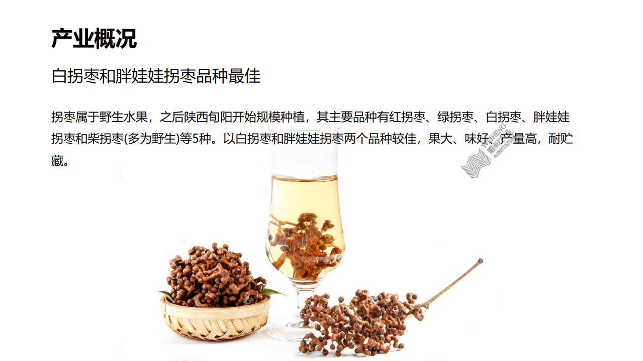 唯恒农业：你没见过的水果&middot;第一篇-拐枣.pdf 第5页