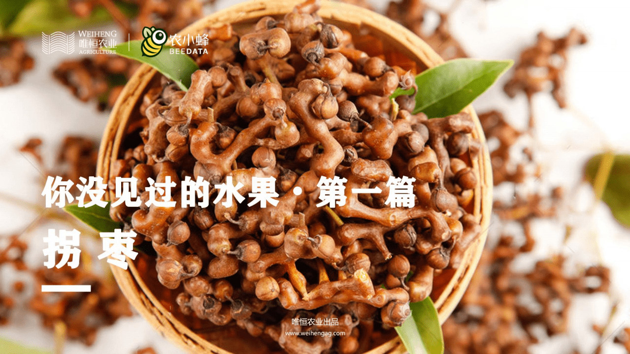 唯恒农业：你没见过的水果&middot;第一篇-拐枣.pdf 第1页