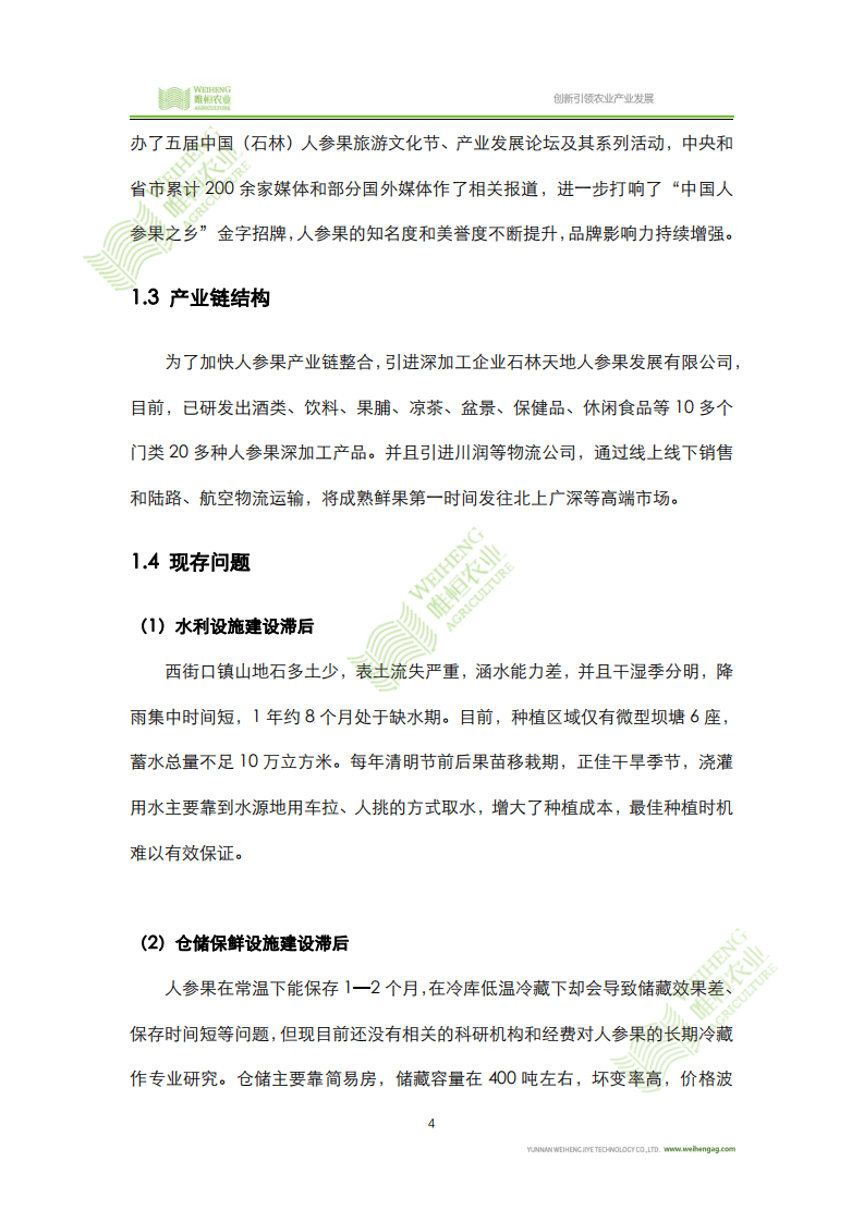 唯恒农业：中国人参果产业发展研究报告.pdf 第6页