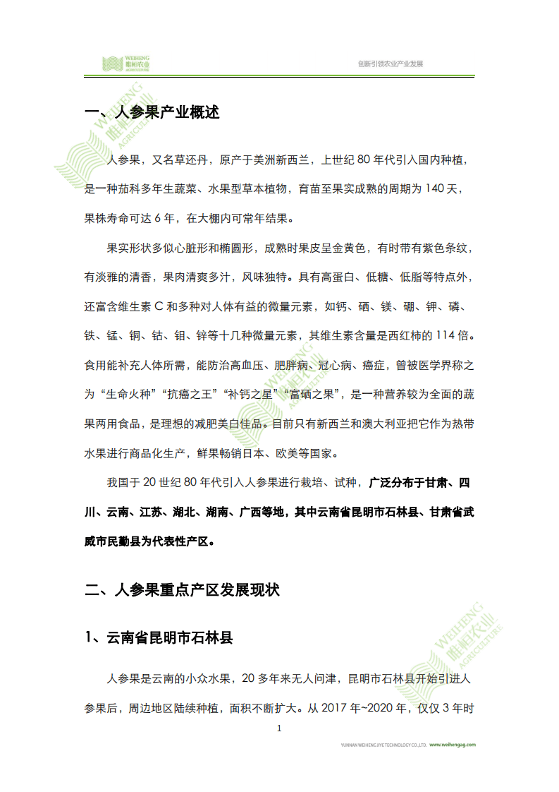 唯恒农业：中国人参果产业发展研究报告.pdf 第3页