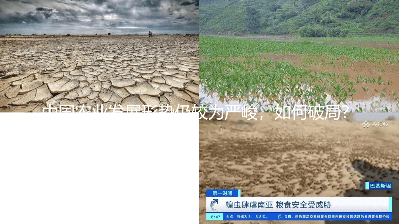 亿欧智库：2021农业数字化趋势：或跃在渊，倍道而进.pdf 第4页