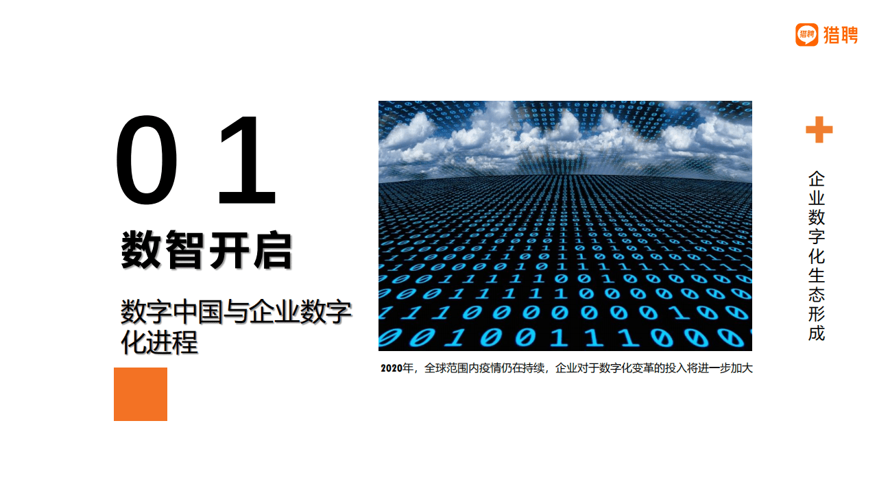 猎聘：2021数字经济人才白皮书.pdf 第6页