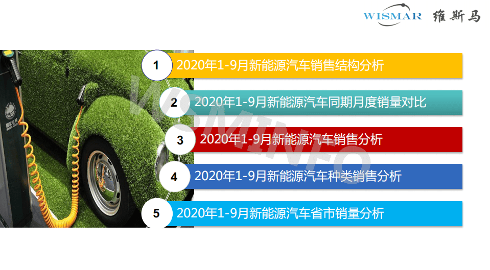 维马斯：2020年1-9月乘用-新能源汽车市场分析报告.pdf 第2页