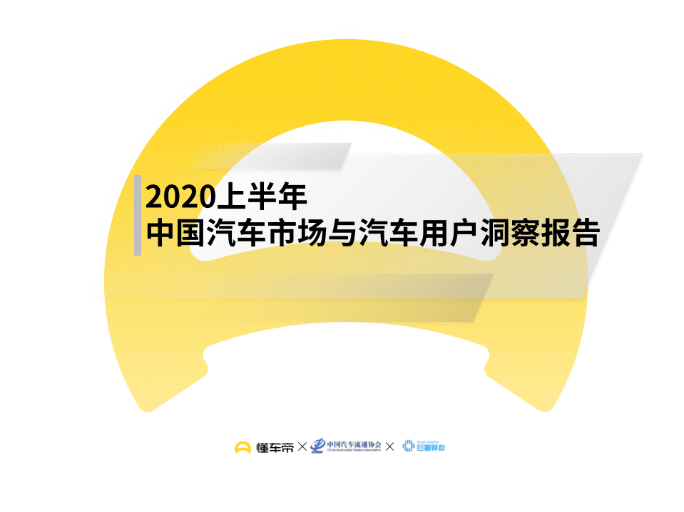 懂车帝：2020上半年中国汽车市场与汽车用户洞察报告.pdf 第1页