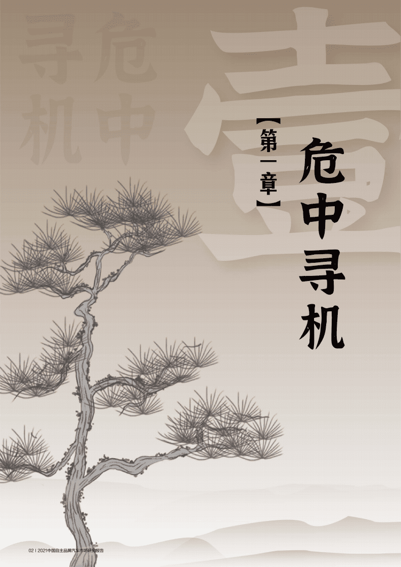 巨量算数：2021中国自主品牌汽车市场研究报告.pdf 第5页