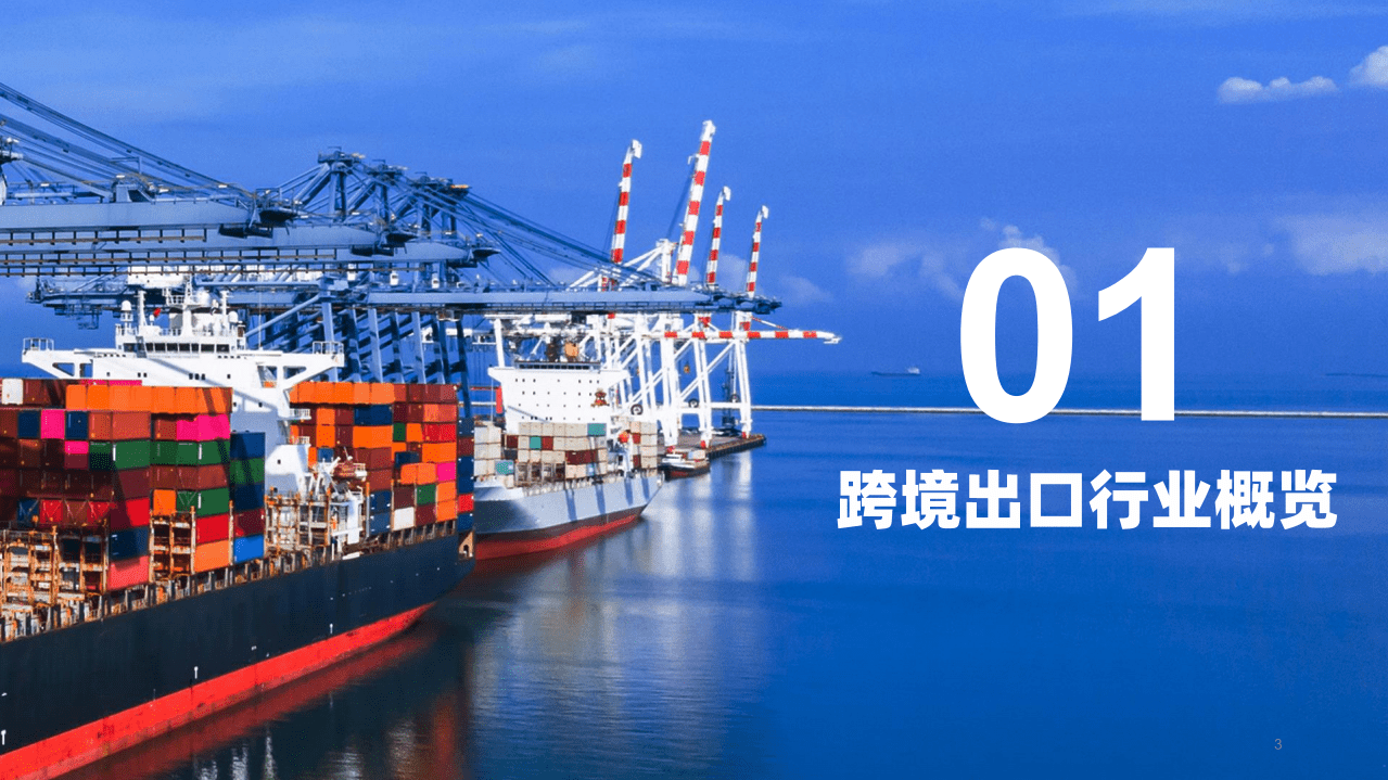 2020跨境出口市场消费趋势报告.pdf 第3页