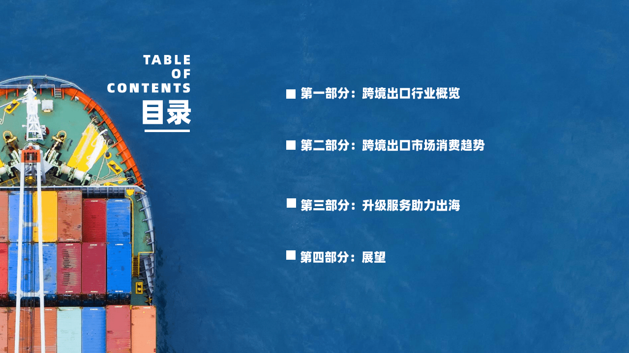 2020跨境出口市场消费趋势报告.pdf 第2页