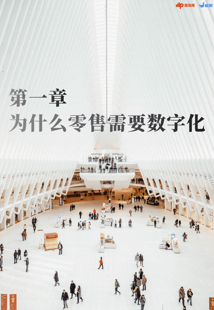 雷锋网研究院：2021零售数智化需求报告.pdf 第3页