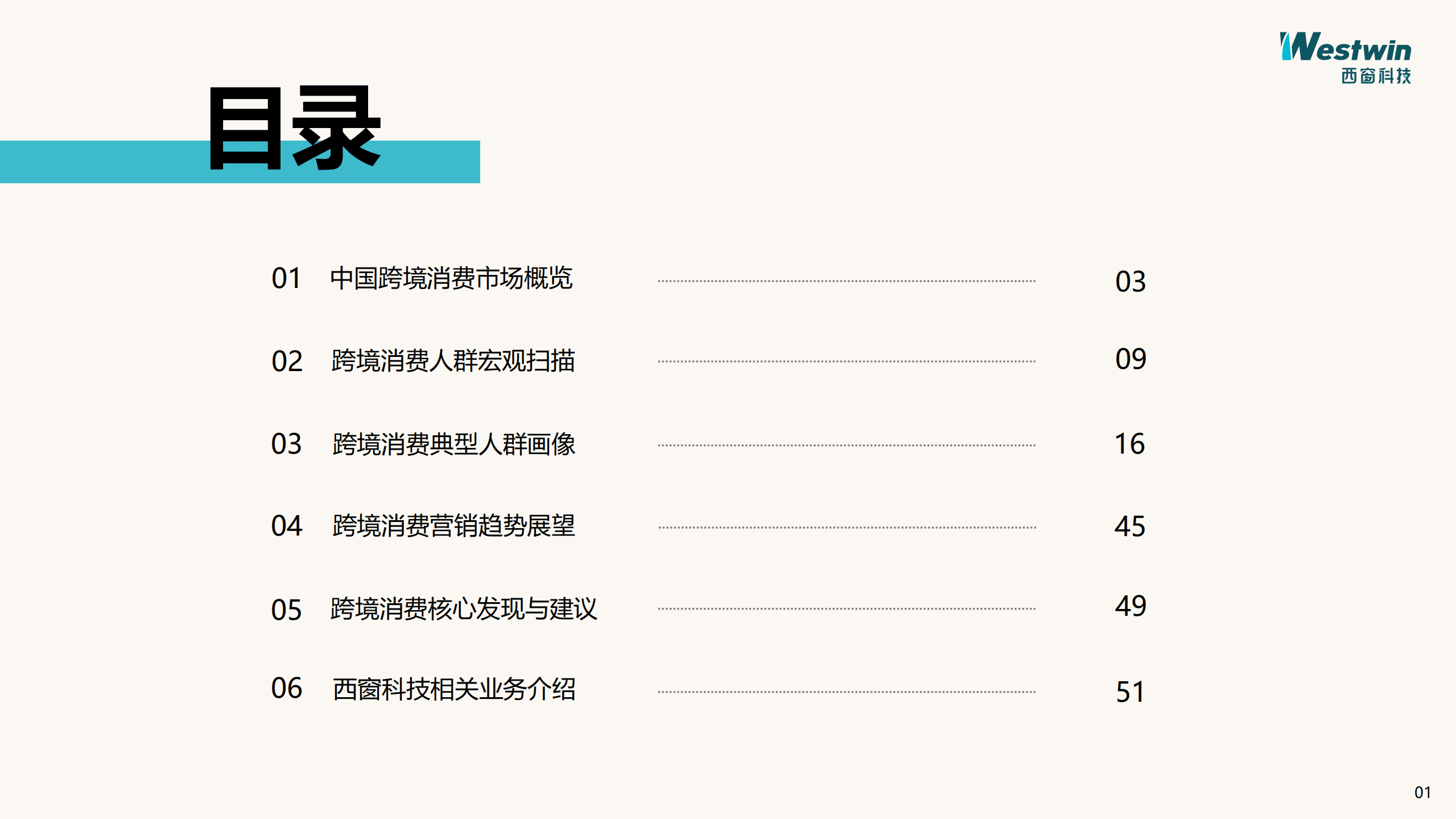 西窗科技：2020中国跨境消费研究报告.pdf 第2页