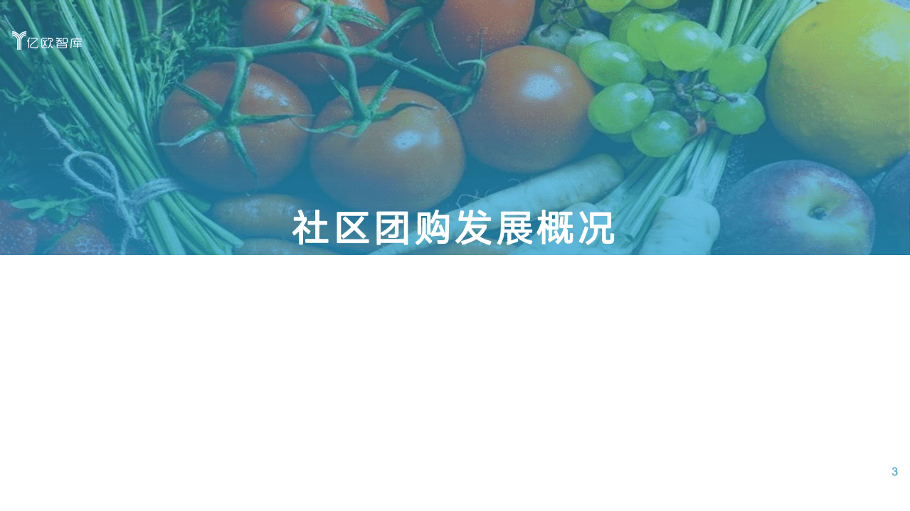 亿欧智库：三公里社区争夺战&mdash;&mdash;2021年社区团购研究报告.pdf 第3页