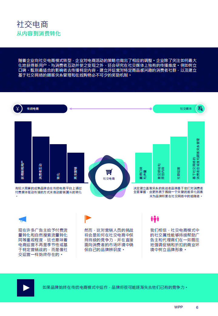 WPP：中国社交电商白皮书-内容、转化与变现.pdf 第6页
