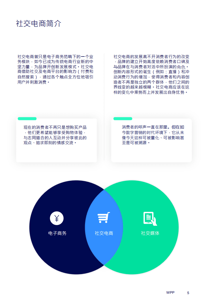 WPP：中国社交电商白皮书-内容、转化与变现.pdf 第5页