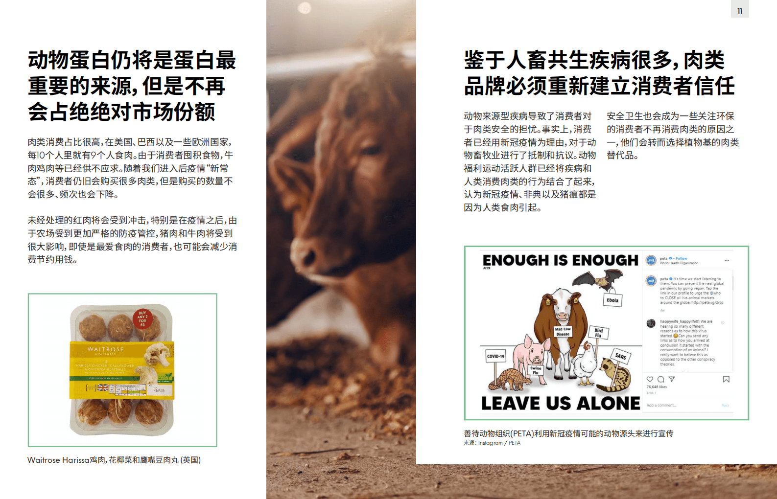 英敏特：后疫情时代蛋白质和生鲜产品.pdf 第6页