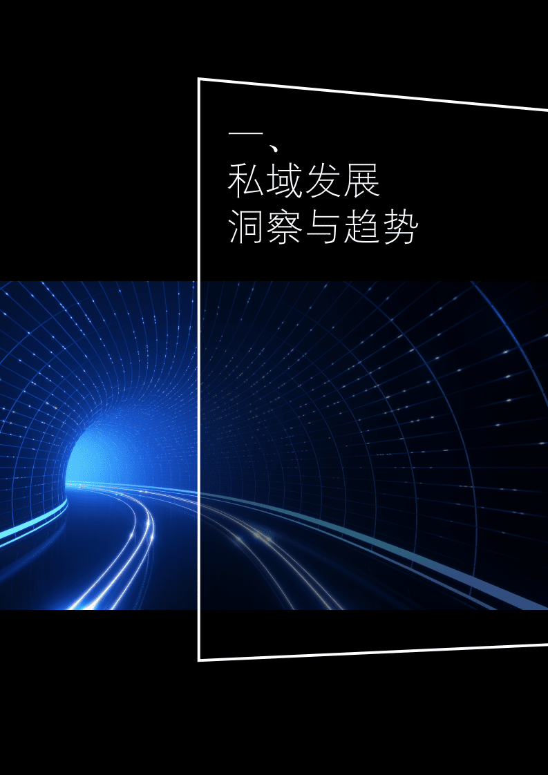 德勤：FAST+方法论：以私域为核心的全域消费者持续运营，秉持长期主义，创造长期价值.pdf 第6页