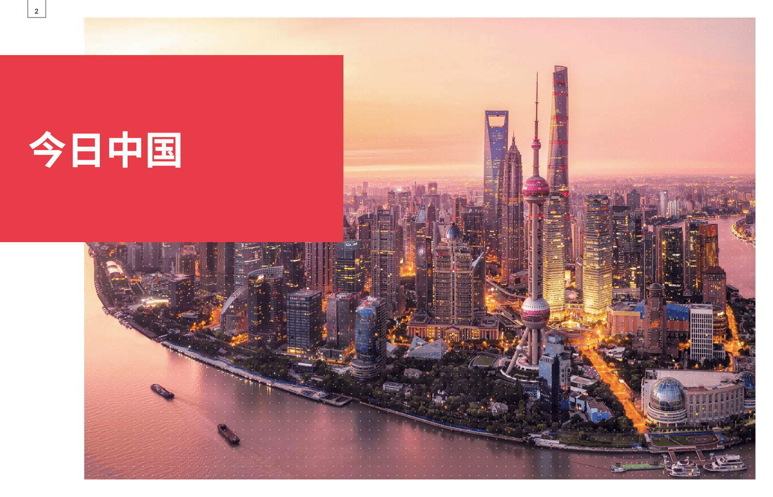 英敏特：中国消费者2020报告.pdf 第2页