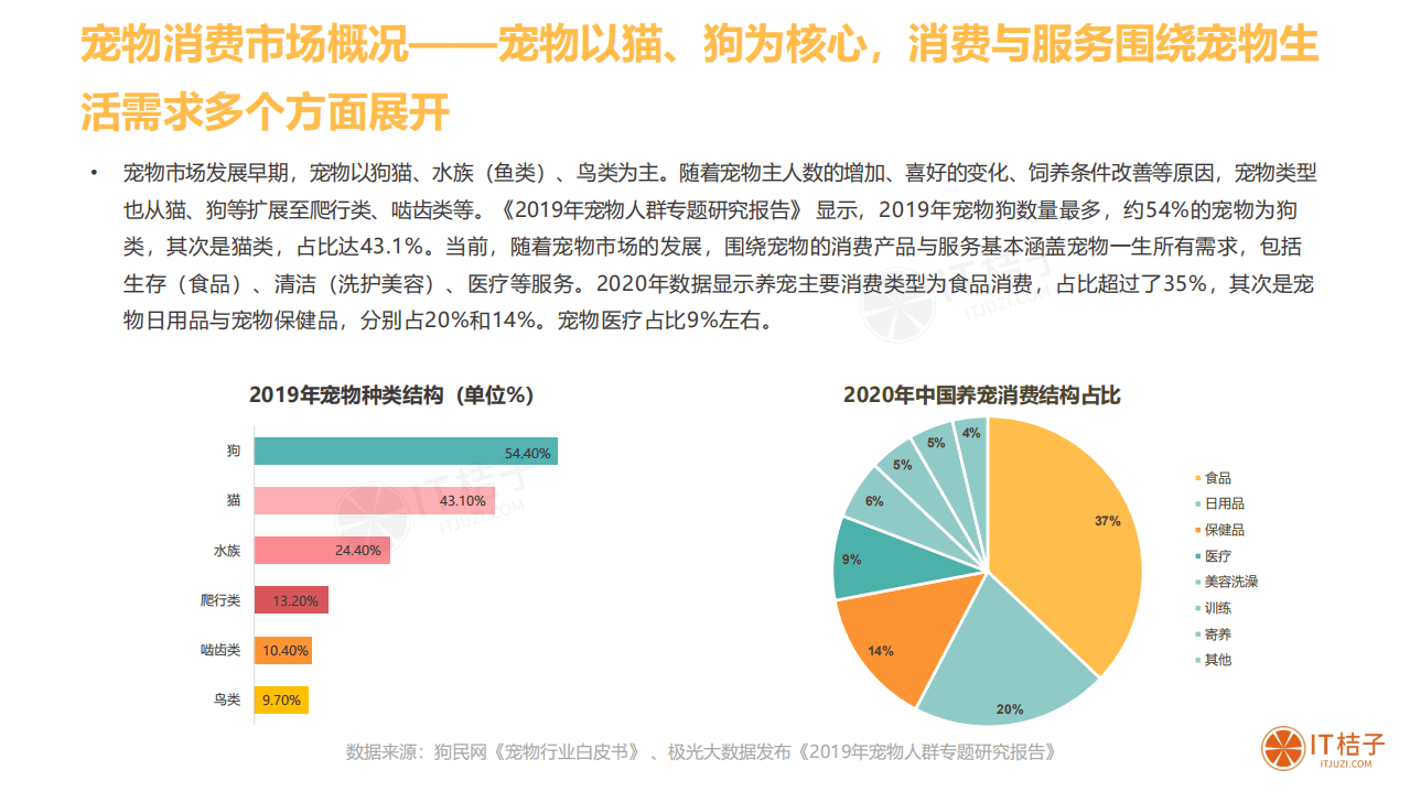 IT桔子：2020年中国宠物消费市场分析报告.pdf 第5页