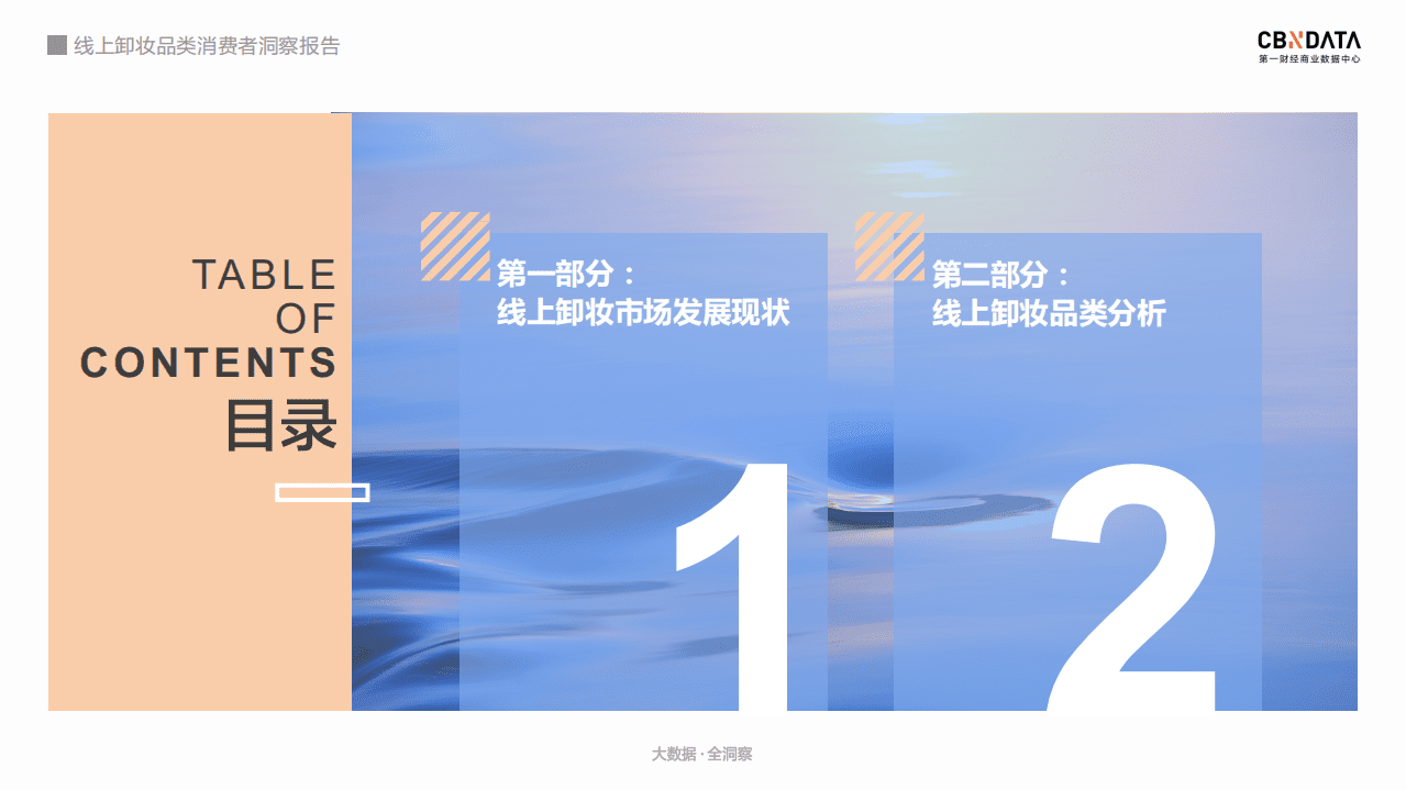 线上卸妆品类消费者洞察报告.pdf 第2页