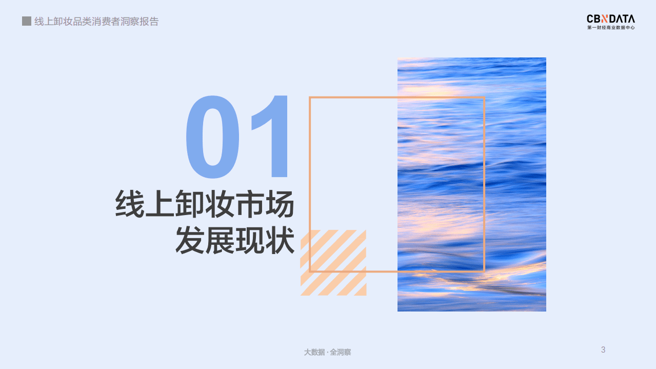 线上卸妆品类消费者洞察报告.pdf 第3页