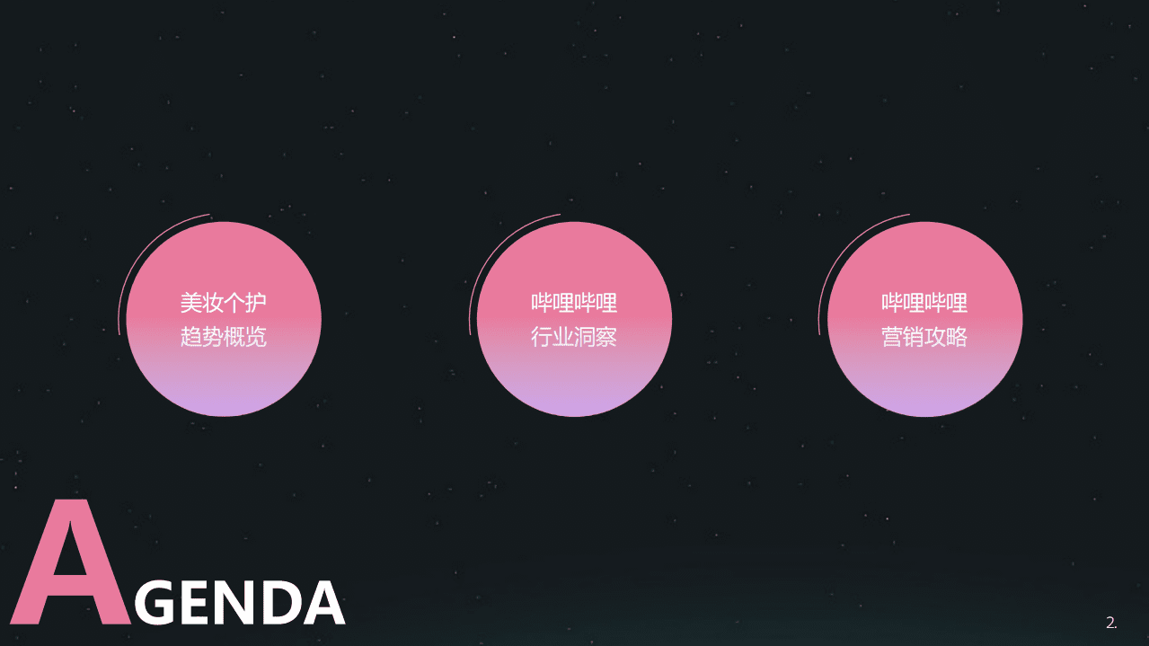 哔哩哔哩：美妆个护行业整合营销解决方案(2021).pdf 第2页