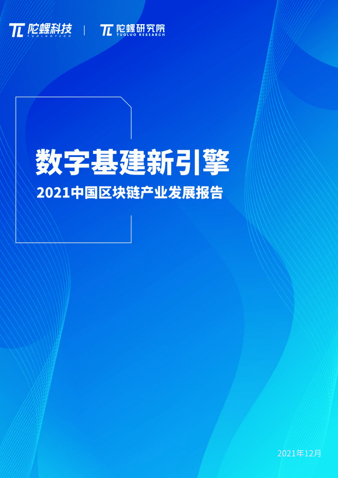 陀螺科技：2021中国区块链产业发展报告.pdf 第1页