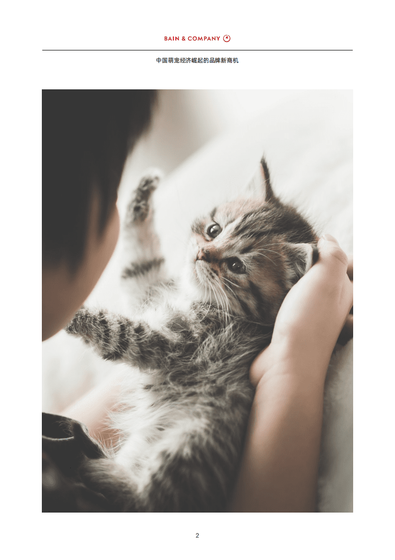 贝恩：中国萌宠经济崛起的品牌新商机.pdf 第3页