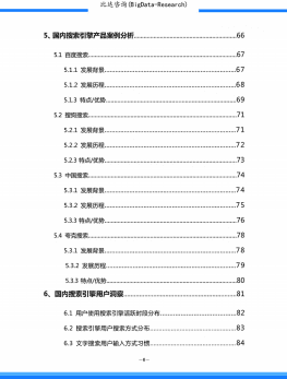 比达咨询：国内搜索引擎产品市场发展报告2020.pdf 第6页