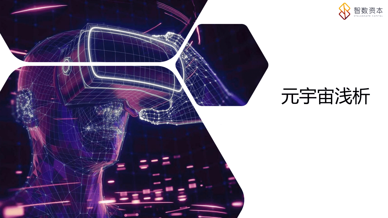 智数：元宇宙浅析.pdf 第1页