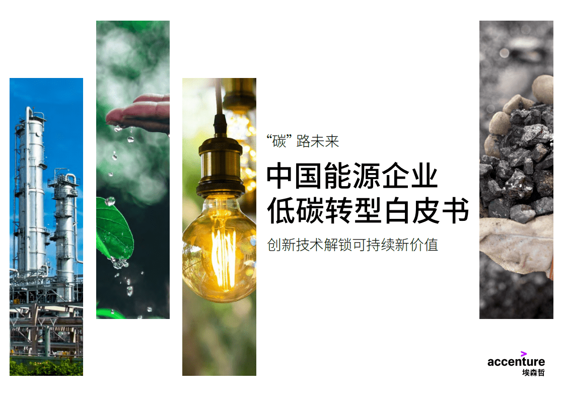 埃森哲：中国能源企业低碳转型白皮书.pdf 第1页