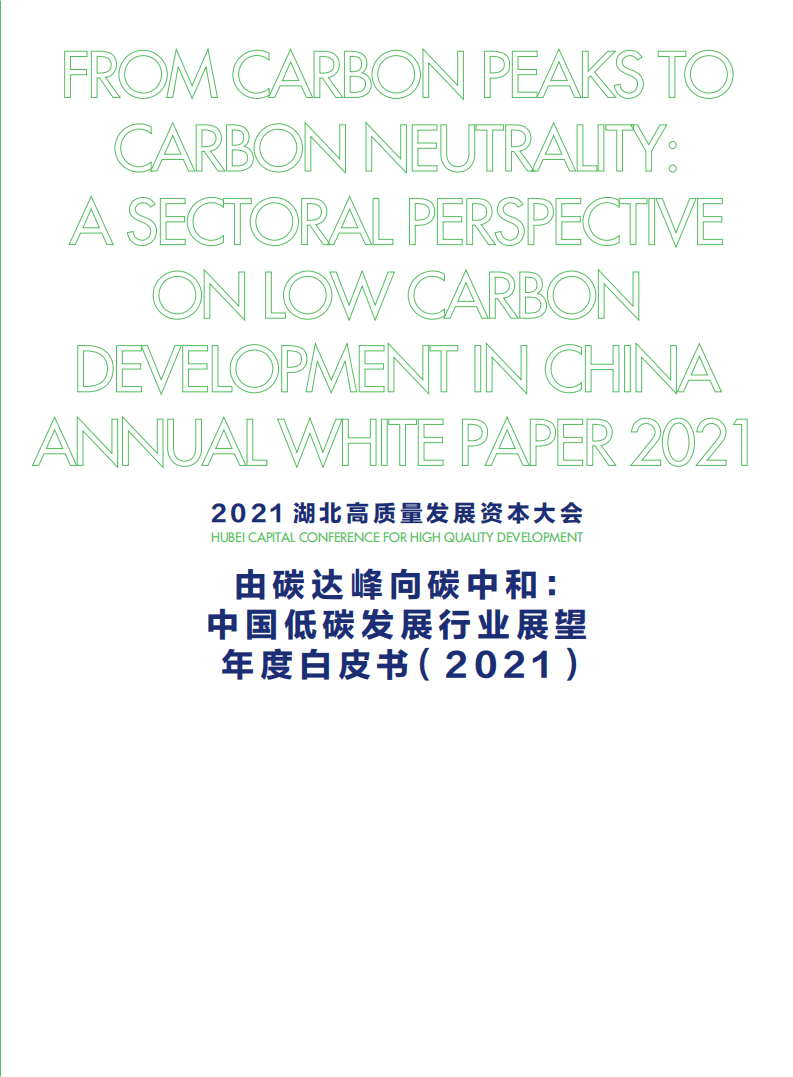财新智库：中国低碳发展行业展望年度白皮书（2021）.pdf 第3页