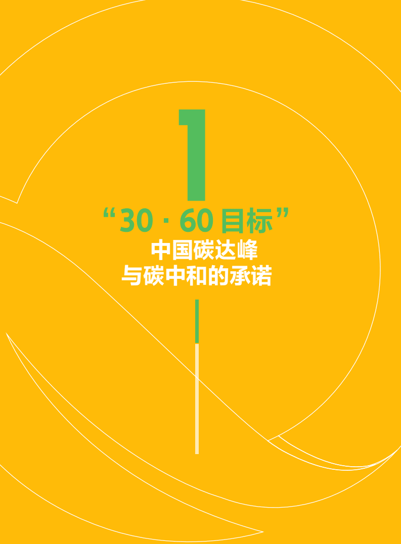 财新智库：中国低碳发展行业展望年度白皮书（2021）.pdf 第6页