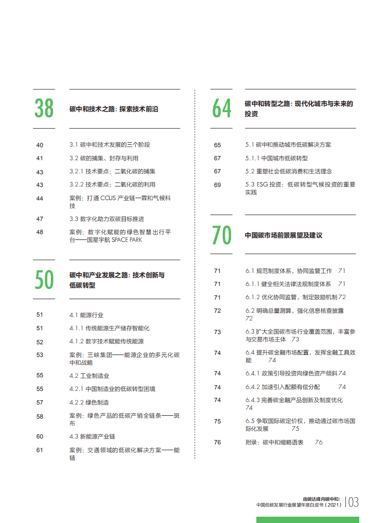 财新智库：中国低碳发展行业展望年度白皮书（2021）.pdf 第5页
