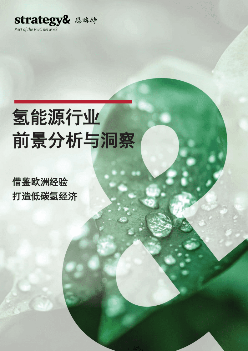 普华永道：氢能源行业前景分析与洞察：借鉴欧洲经验，打造低碳氢经济.pdf 第1页