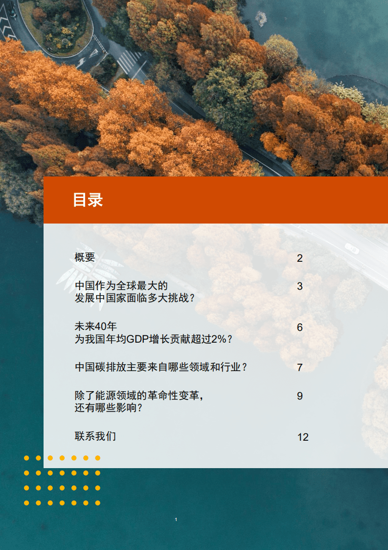 普华永道：2060碳中和将为中国经济贡献几何？.pdf 第2页