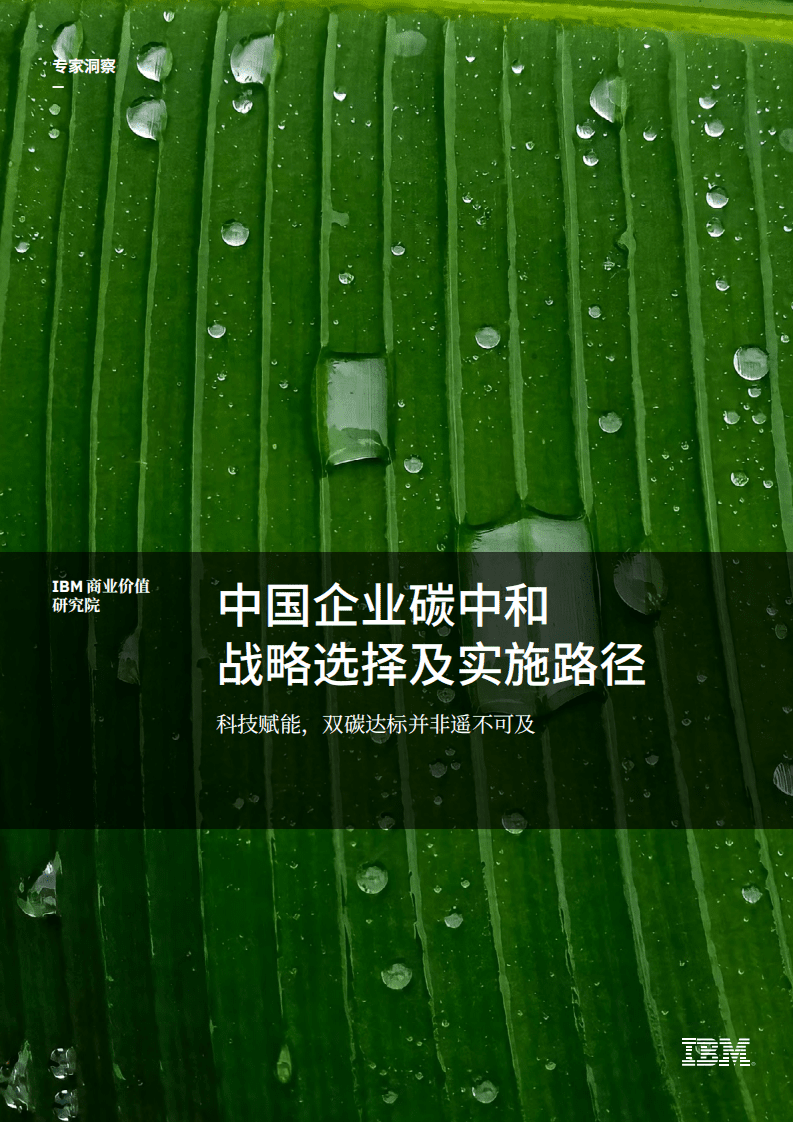 IBM商业价值研究院：中国企业碳中和战略选择及实施路径：科技赋能，双碳达标并非遥不可及.pdf 第1页