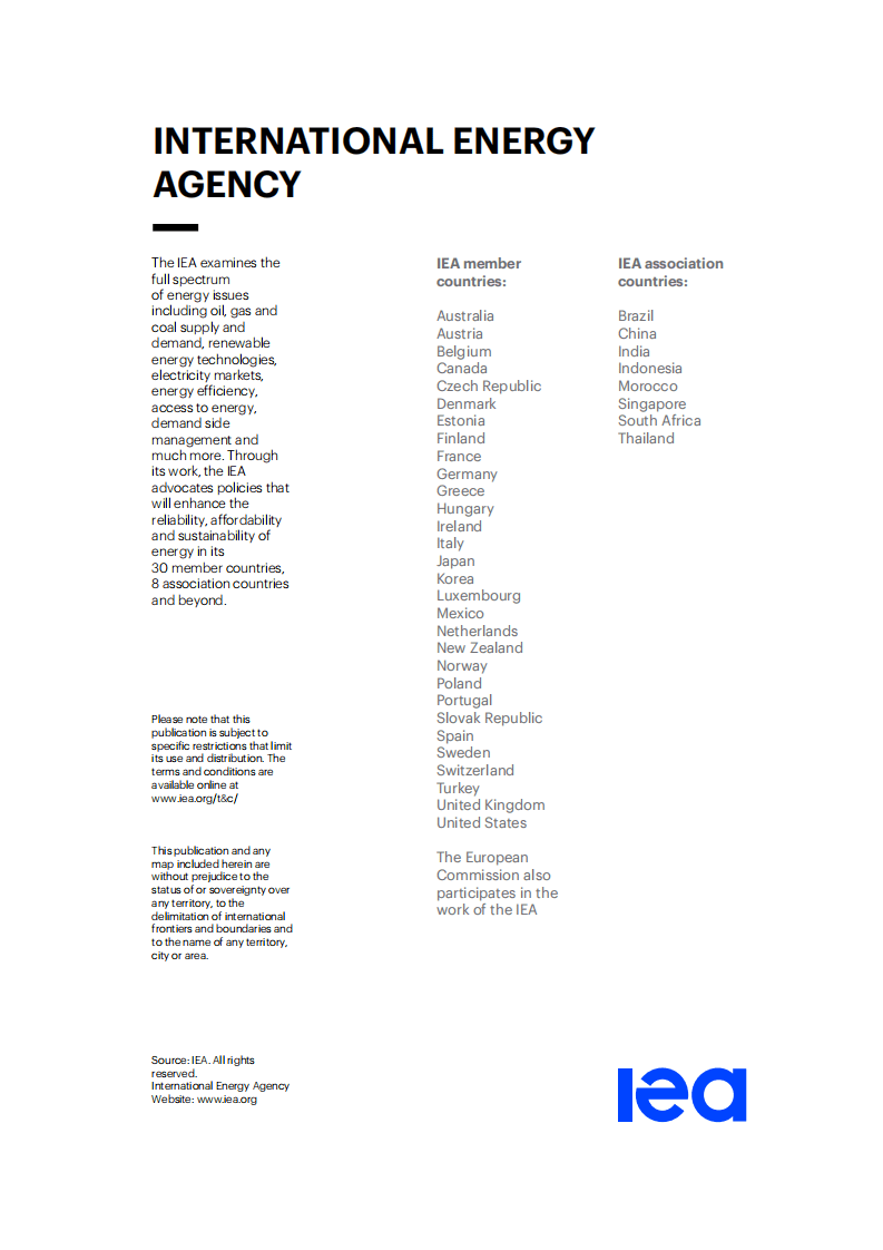 IEA：中国能源体系碳中和路线图.pdf 第2页