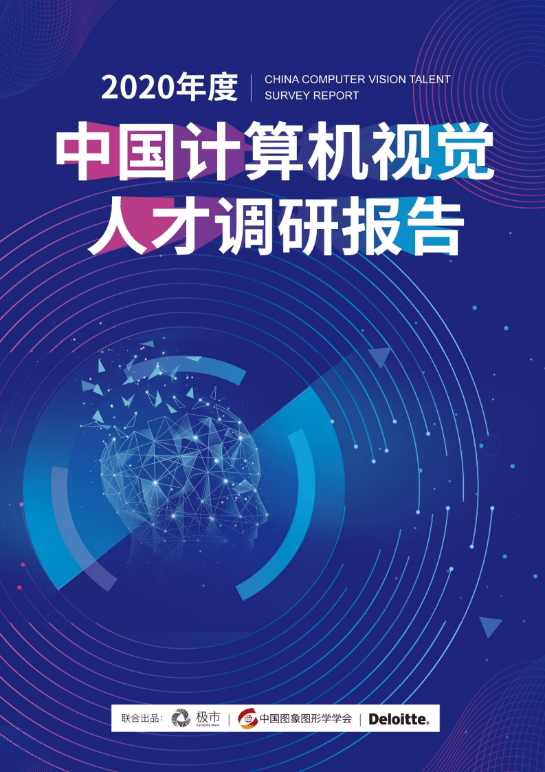 德勤：2020年度中国计算机视觉人才调研报告.pdf 第1页