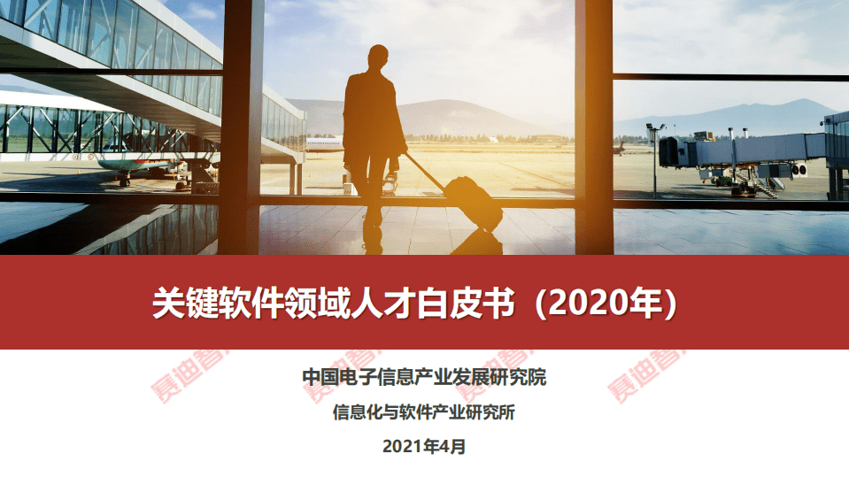 赛迪智库：关键软件领域人才白皮书（2020年）.pdf 第1页