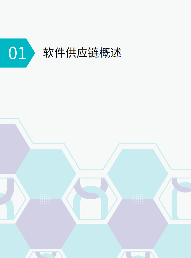 悬镜：2021软件供应链安全白皮书.pdf 第5页