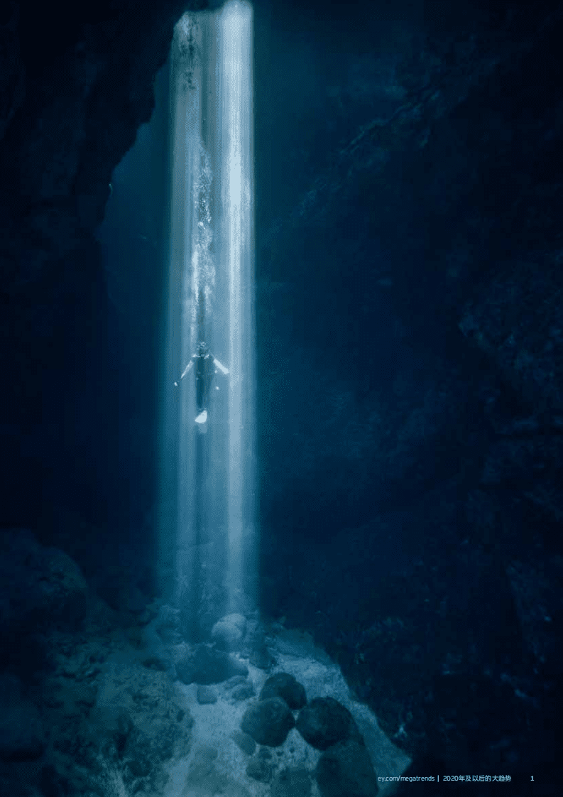 安永：全球智库EYQ第三版：您是要重塑未来，还是让未来重塑您？了解大趋势将帮助您发现其他人看不到的机会.pdf 第5页