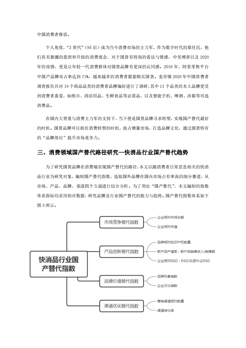 国产替代：中美博弈背景下国货品牌的破局之路.pdf 第6页