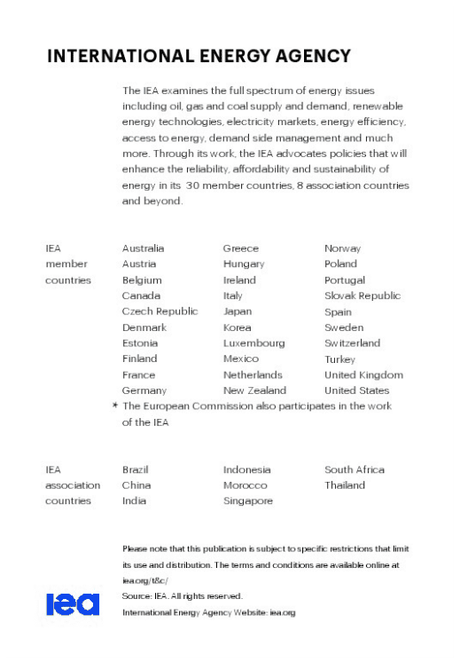 国际能源机构：2021年全球能源报告.pdf 第3页