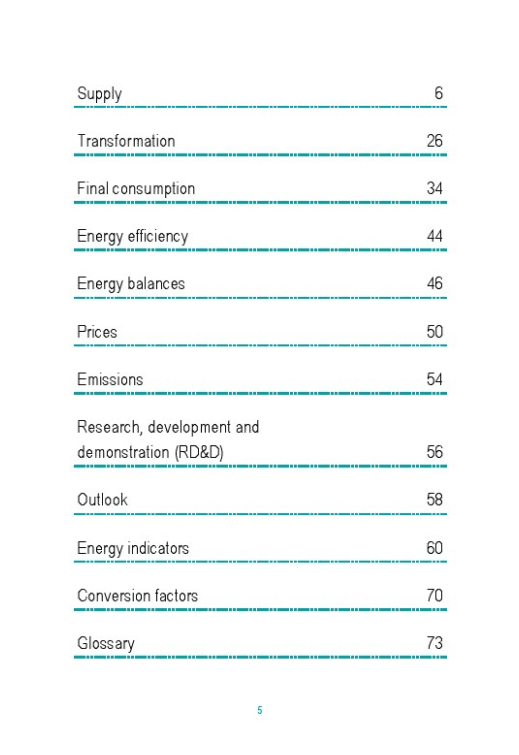国际能源机构：2021年全球能源报告.pdf 第6页