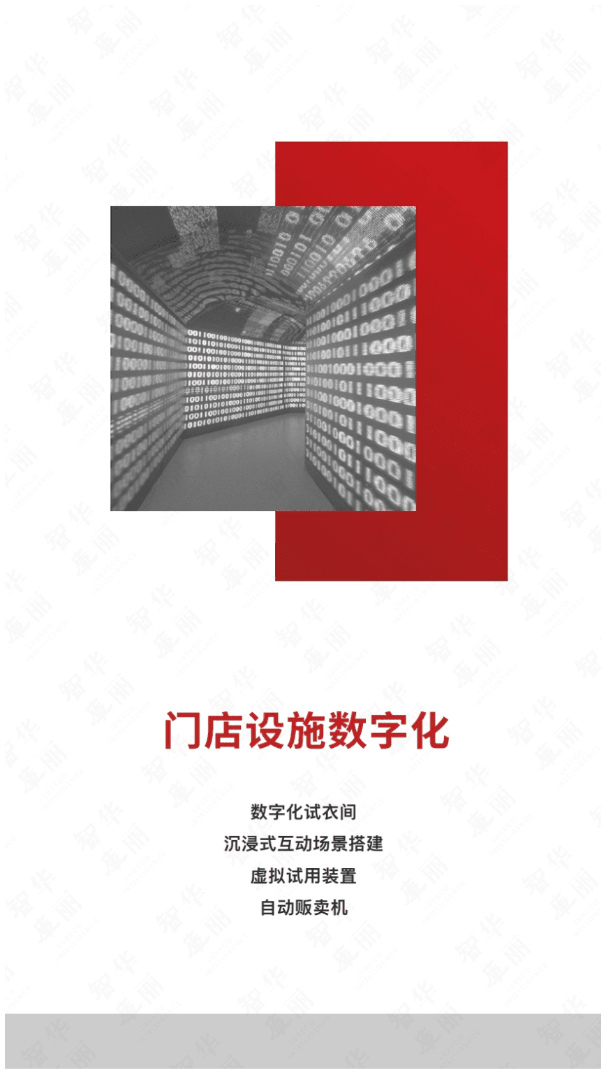 华丽智库：2020年全球羽绒服品牌研究报告.pdf 第5页