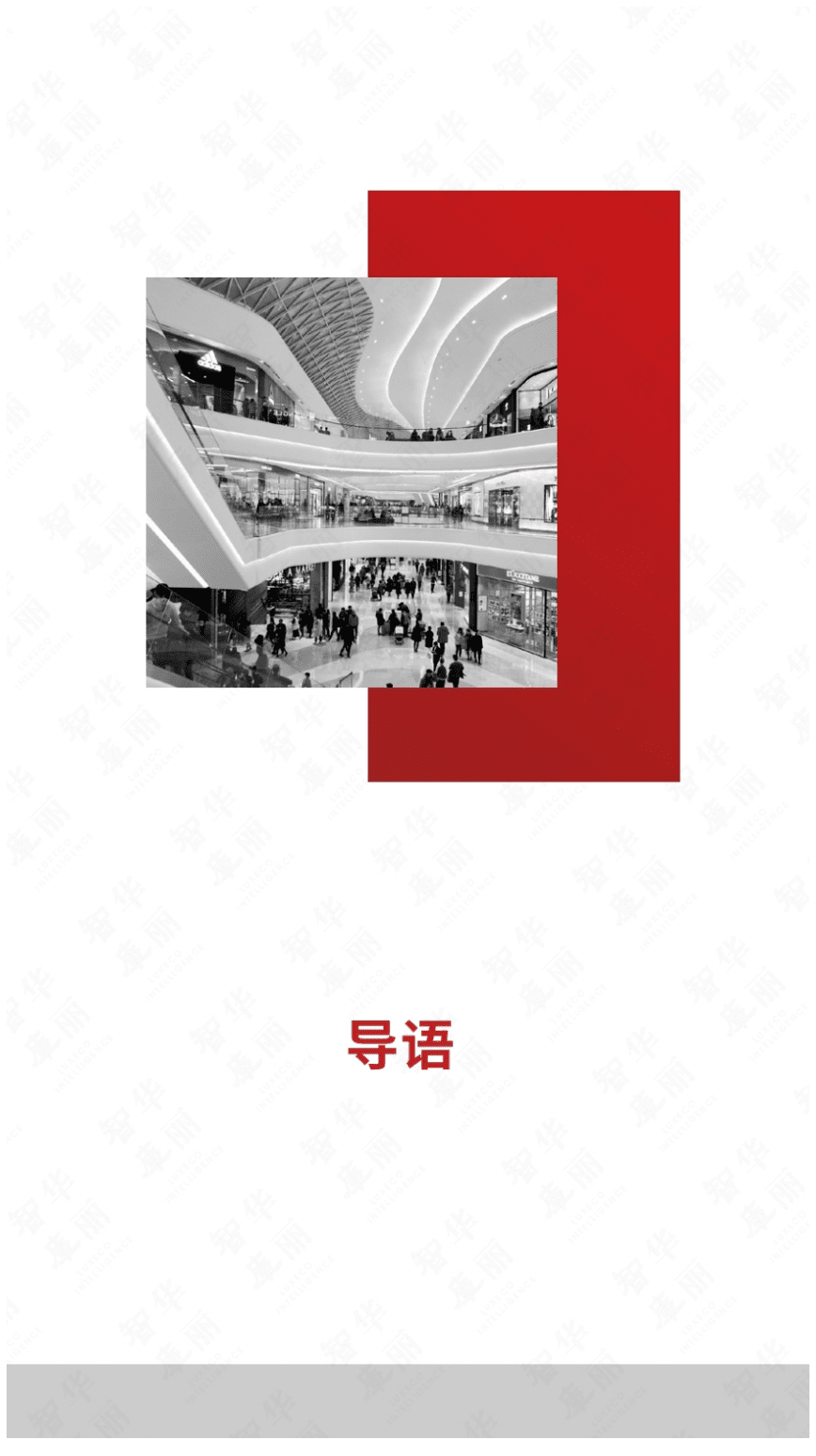 华丽智库：2020年全球羽绒服品牌研究报告.pdf 第3页