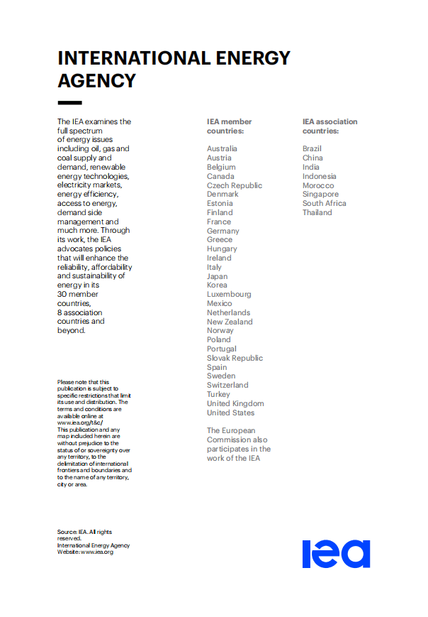IEA：全球能源行业2050净零排放路线图.pdf 第3页