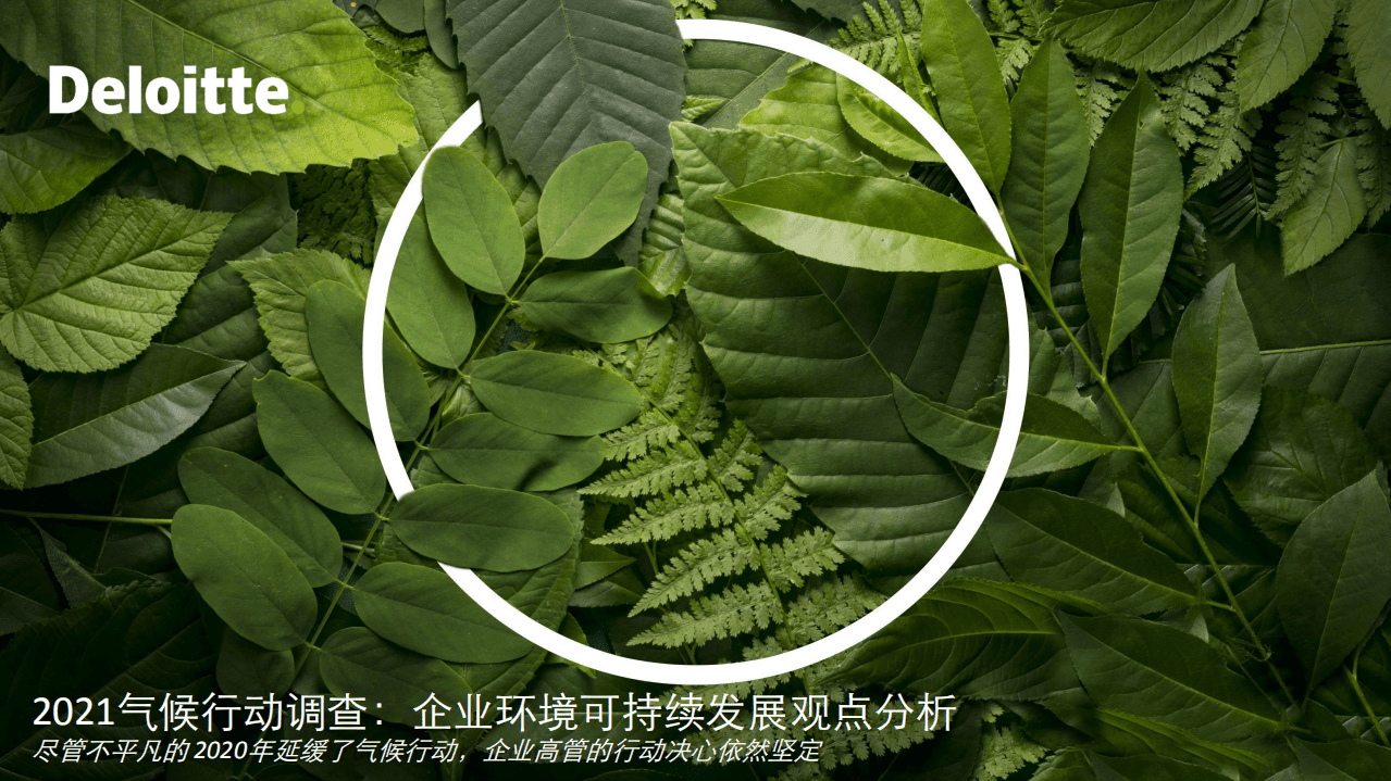 德勤：2021气候行动调查-企业环境可持续发展观点分析.pdf 第1页